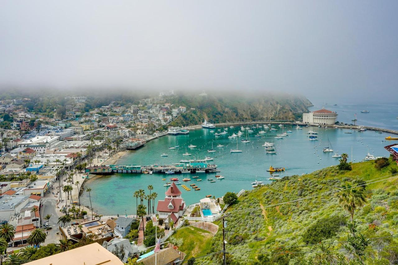 Dreamy Catalina Island Home, Walk To Beach And Ferry Avalon Exterior foto